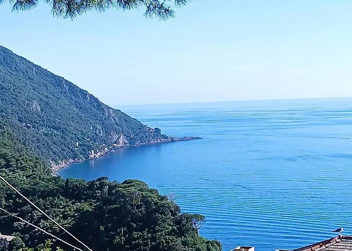 Due Rose Lejlighed *